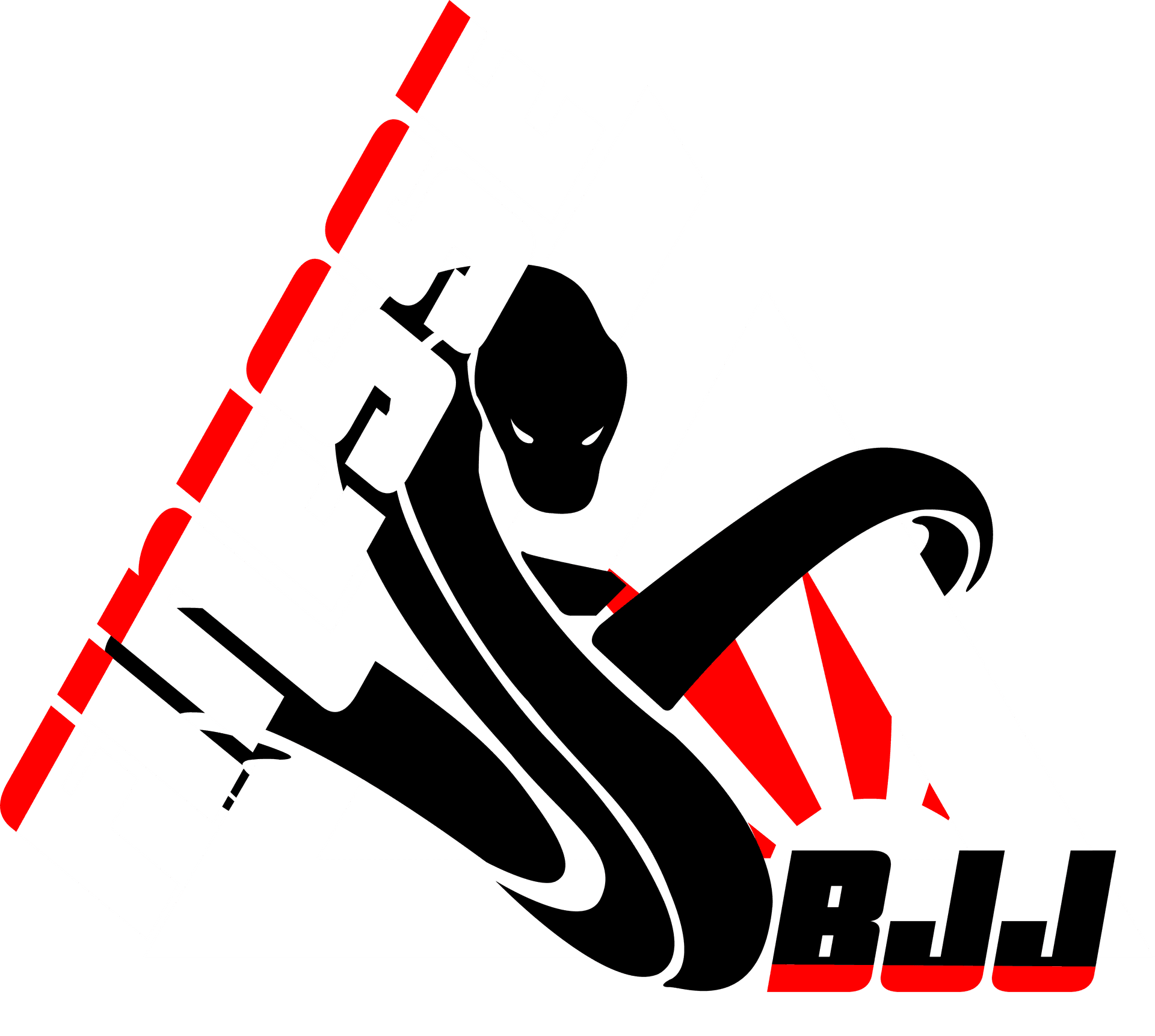 Finesse BJJ Academy
