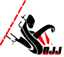 Finesse BJJ Academy logo